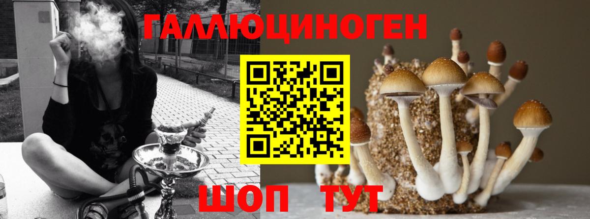 Моздок  Галлюциногенные грибы прущие грибы  Псилоцибиновые грибы Psilocybe  Вход с VPN 